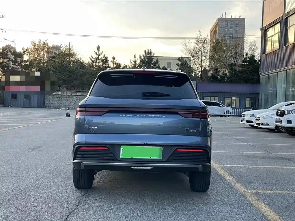 BYD Pro New Energy 2024 из CN, фото 6