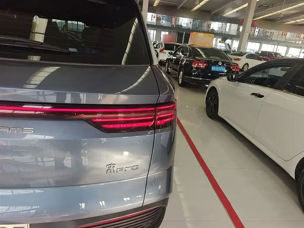 BYD Pro New Energy 2024 из CN, фото 8