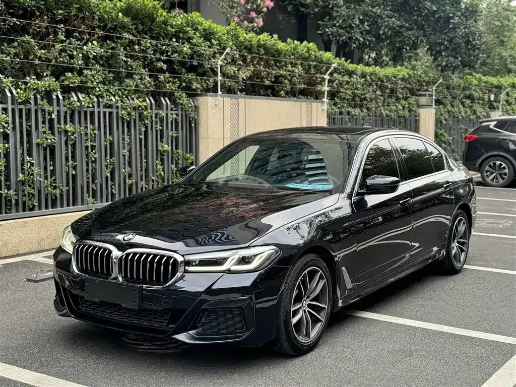 BMW 5 Series 2021 из CN, фото 1