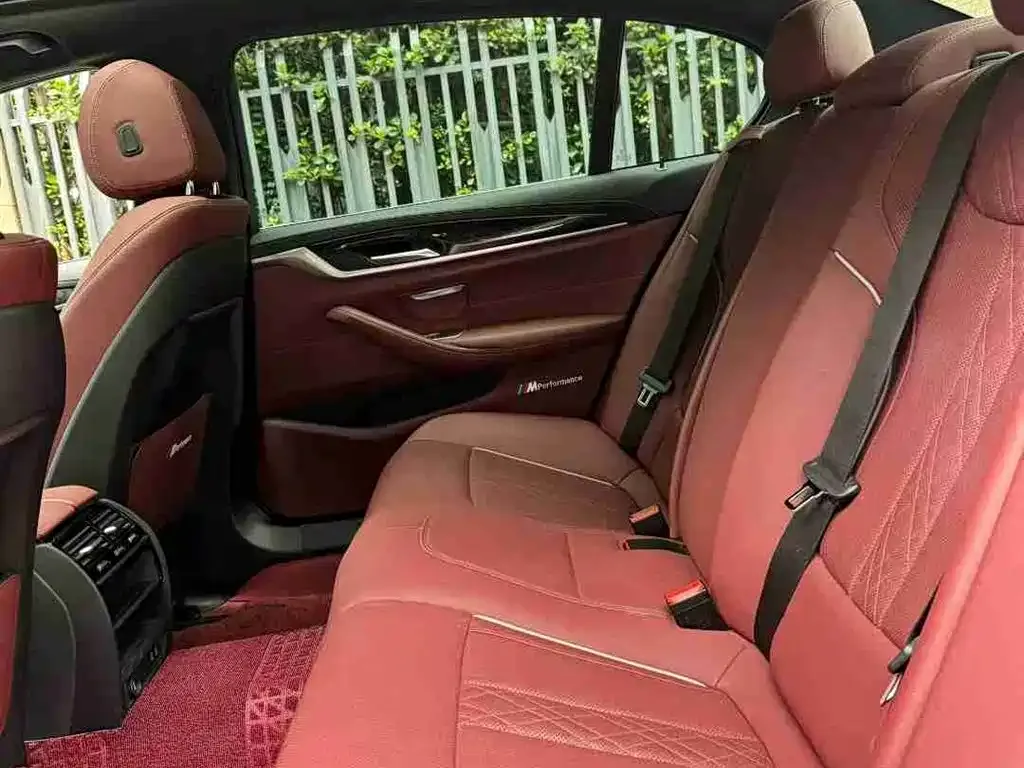 BMW 5 Series 2021 из CN, фото 10