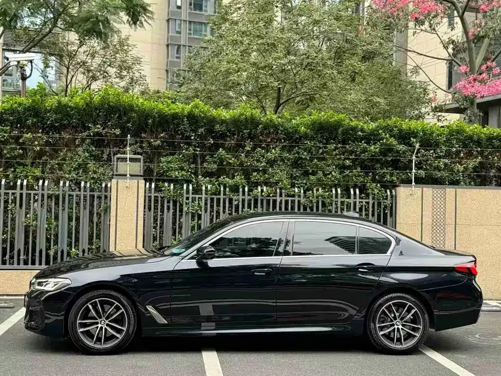 BMW 5 Series 2021 из CN, фото 2