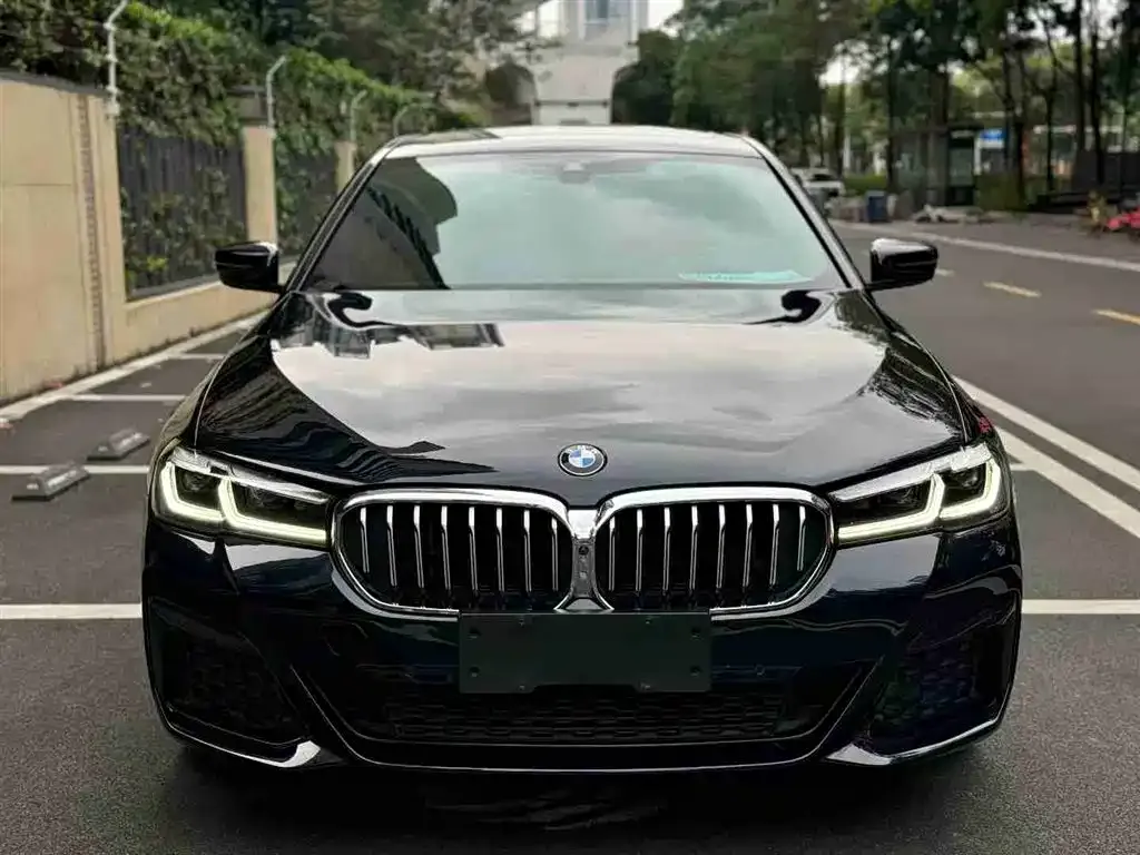 BMW 5 Series 2021 из CN, фото 3