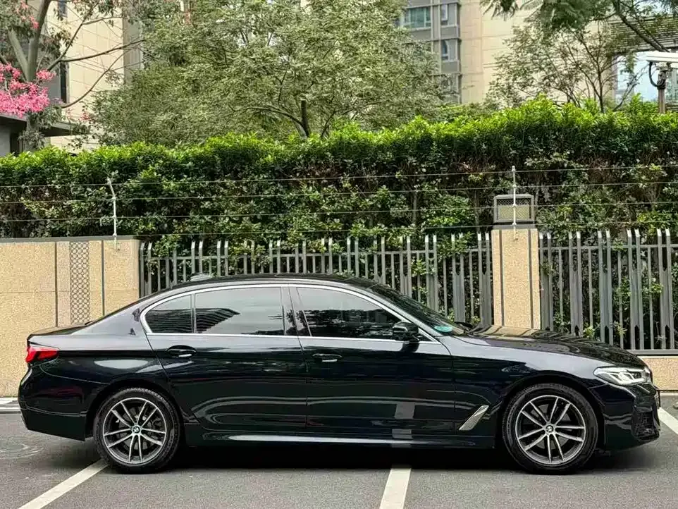 BMW 5 Series 2021 из CN, фото 4