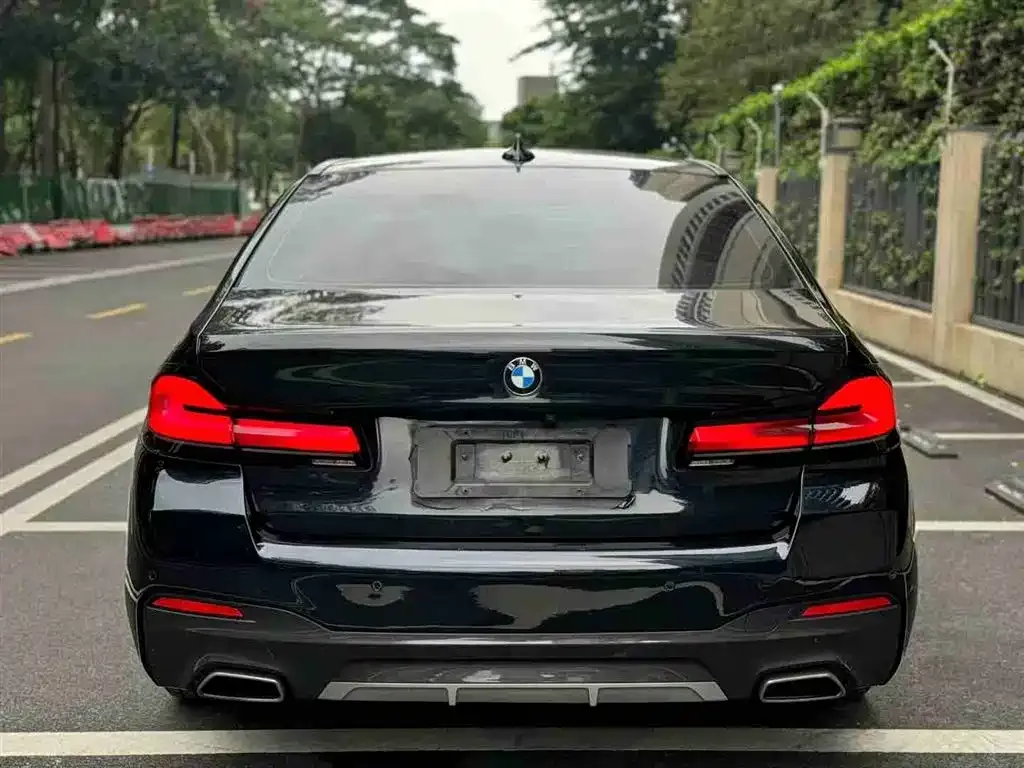 BMW 5 Series 2021 из CN, фото 5