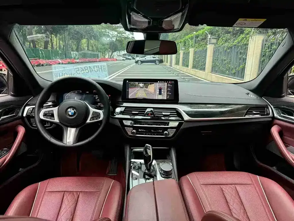 BMW 5 Series 2021 из CN, фото 7