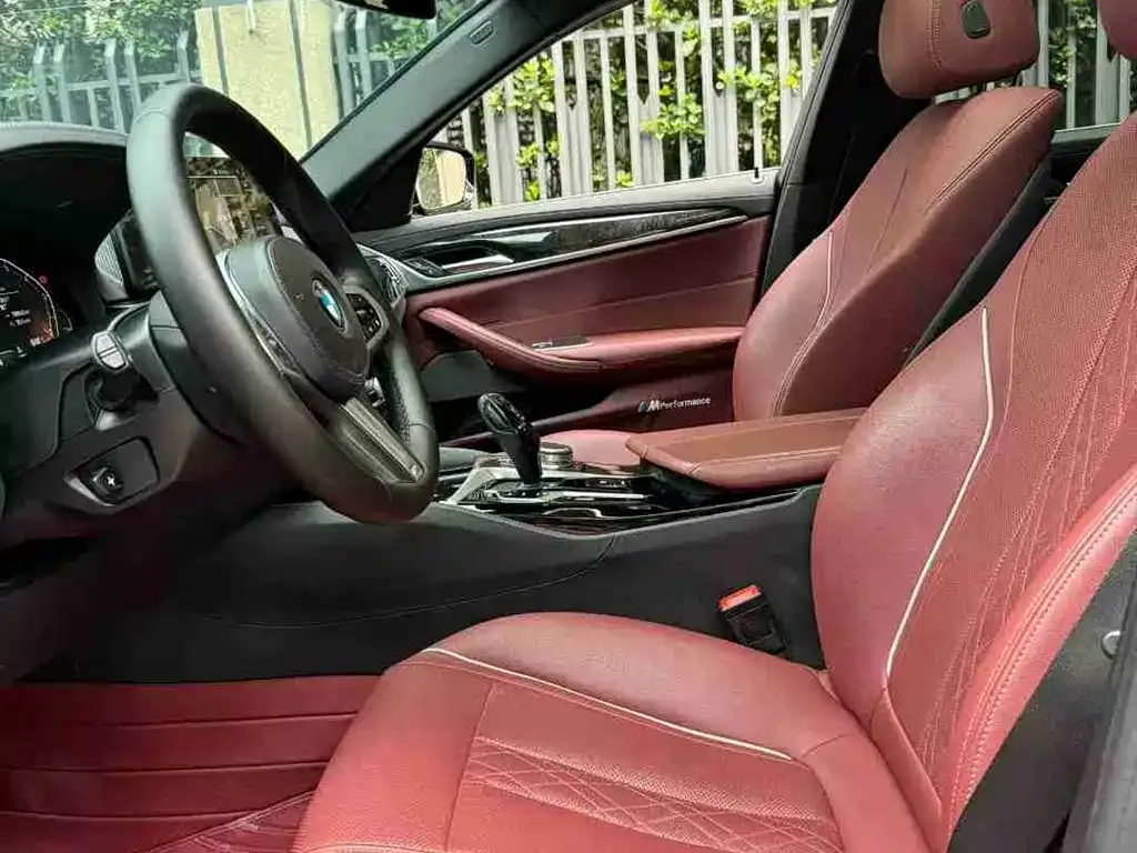 BMW 5 Series 2021 из CN, фото 9
