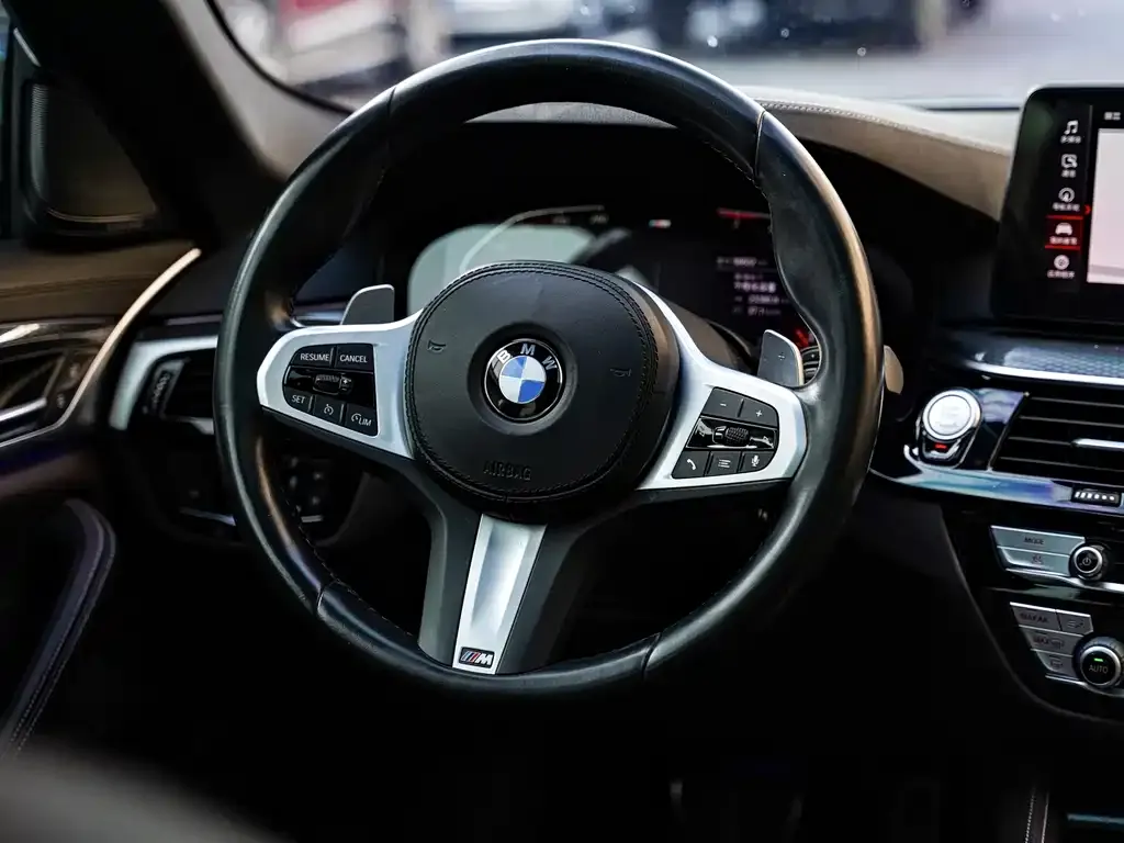 BMW 5 Series (Import) 2022 из CN, фото 10