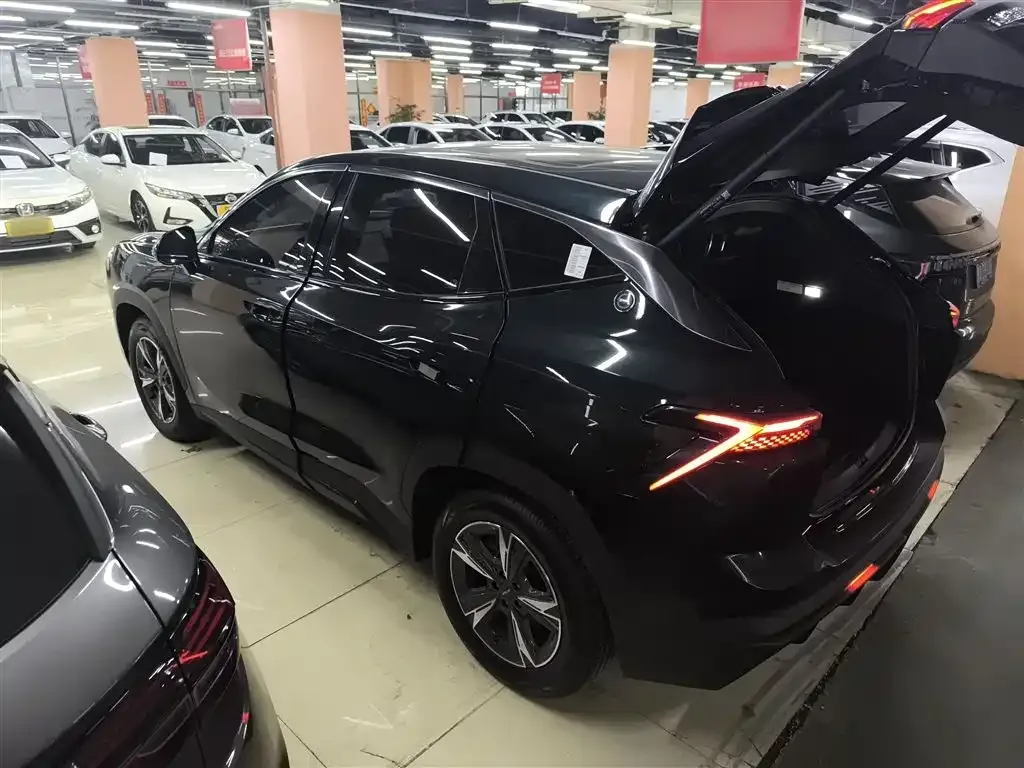 Jetour Dasheng 2023 из CN, фото 5