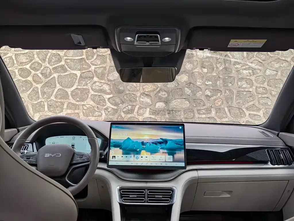 BYD PLUS New Energy 2025 из CN, фото 10