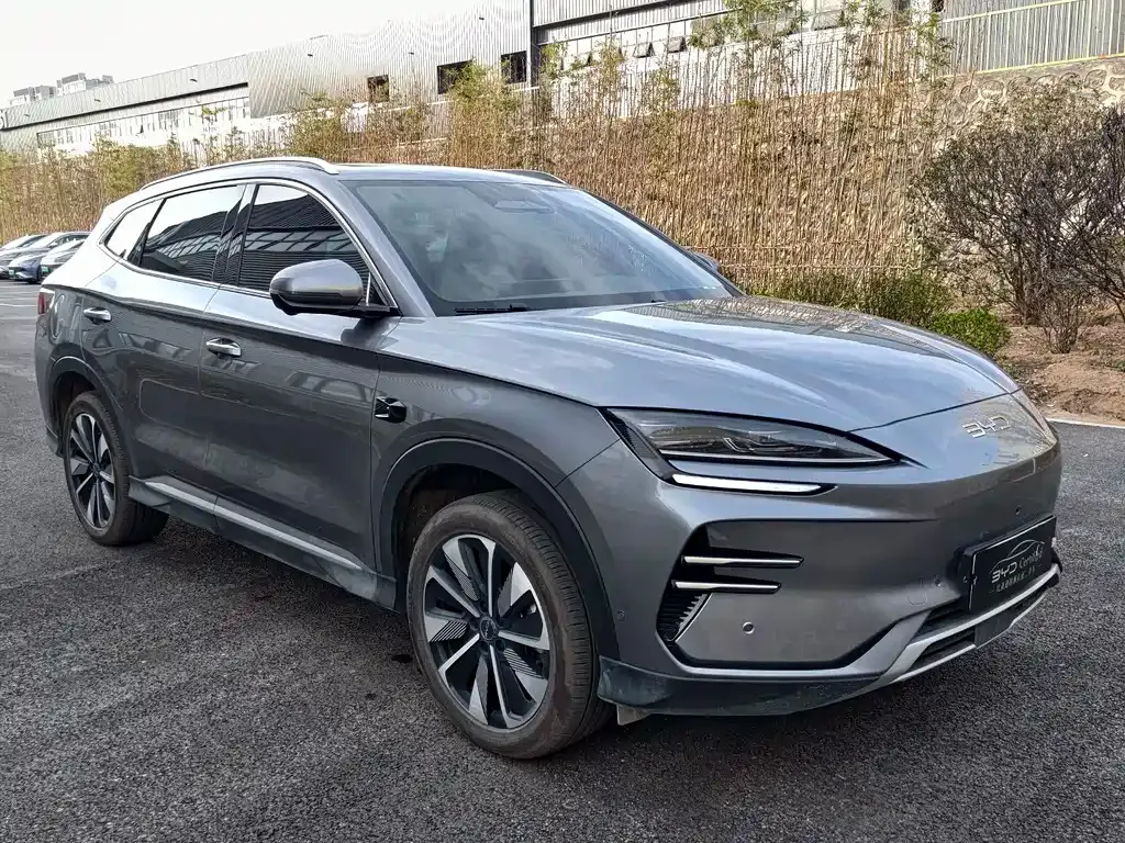 BYD PLUS New Energy 2025 из CN, фото 3