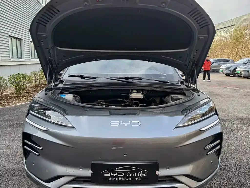 BYD PLUS New Energy 2025 из CN, фото 4