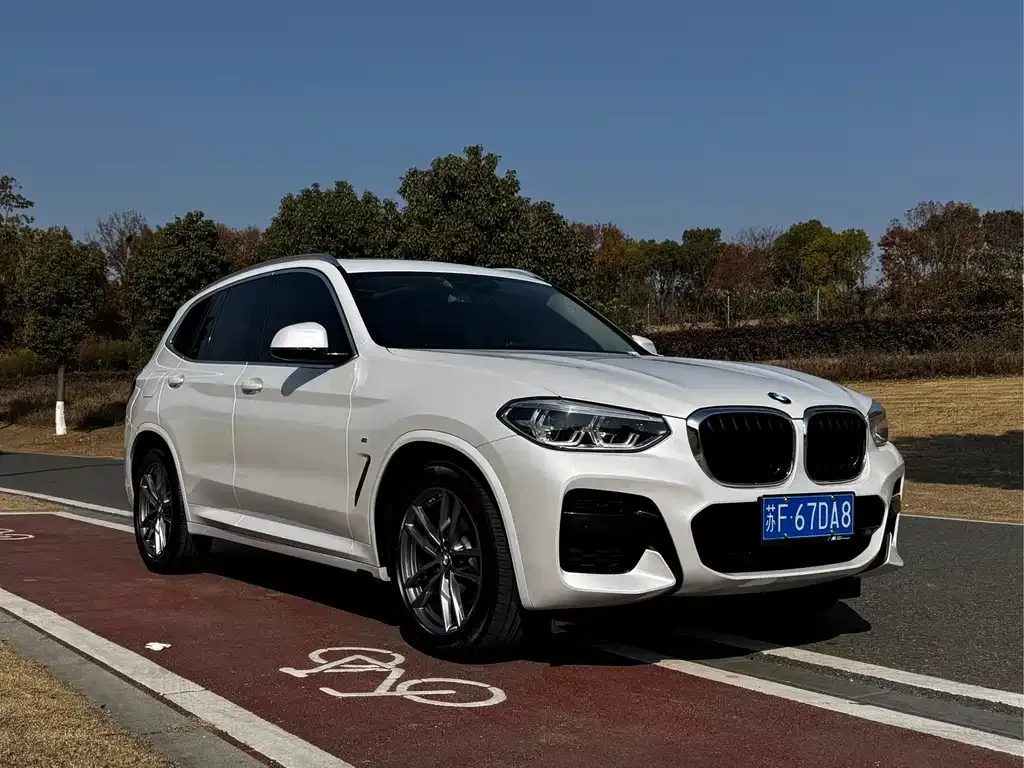 BMW X3 2021 из CN, фото 3