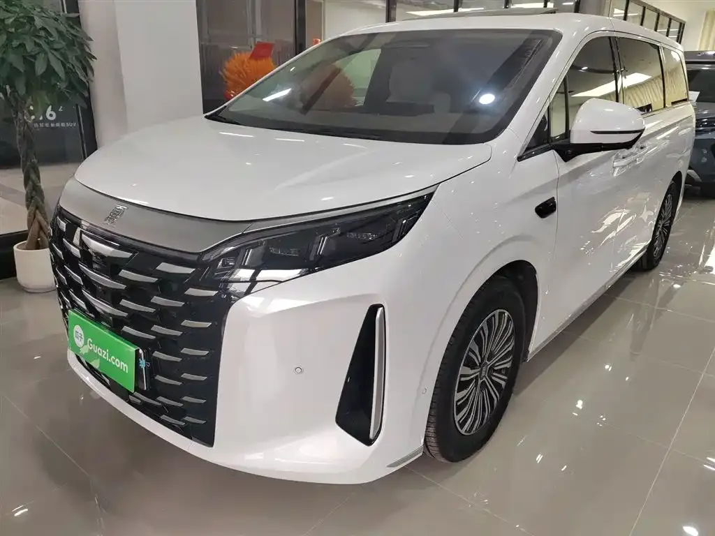 BYD Xia 2025 из CN, фото 2