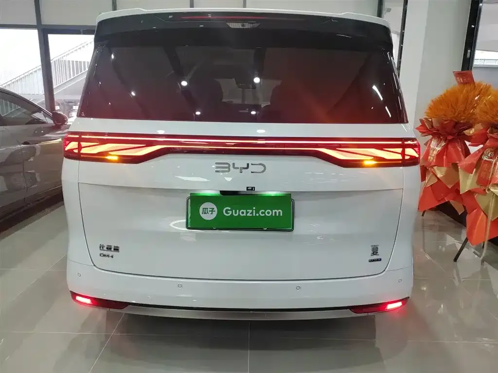 BYD Xia 2025 из CN, фото 6