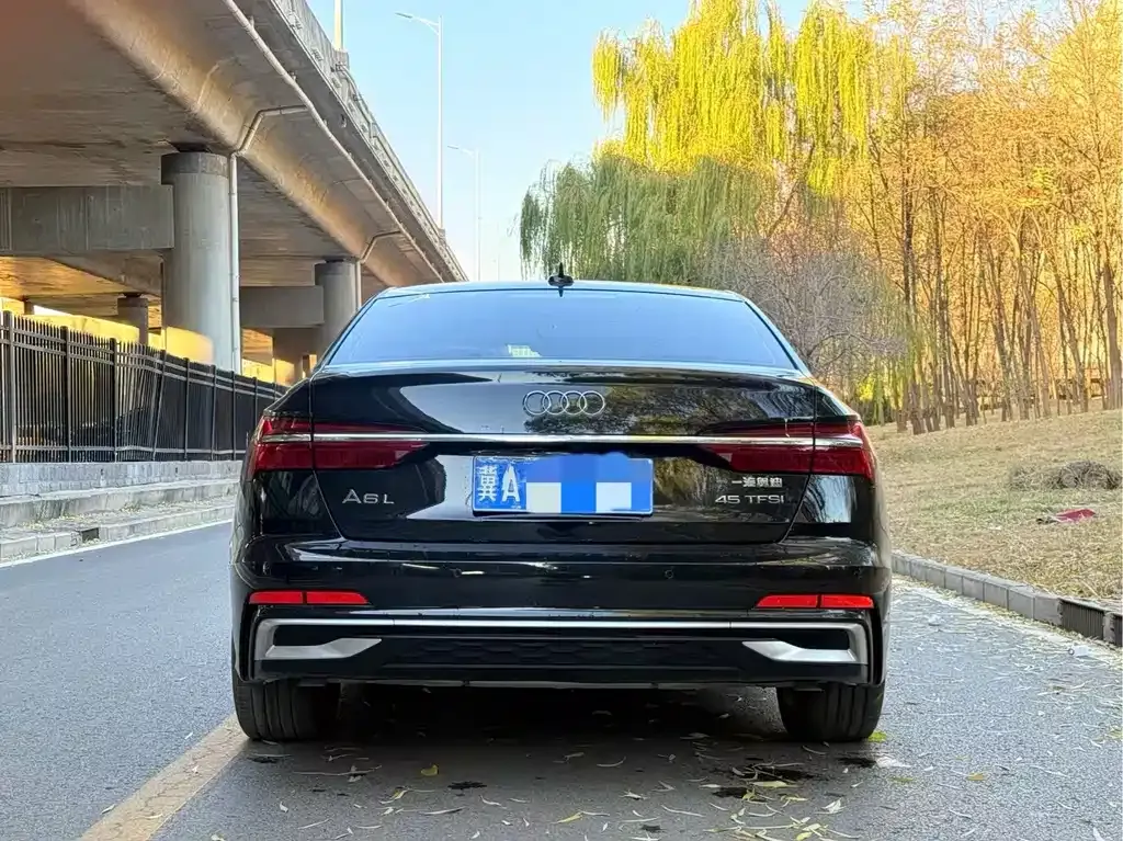 Audi A6L 2023 из CN, фото 9