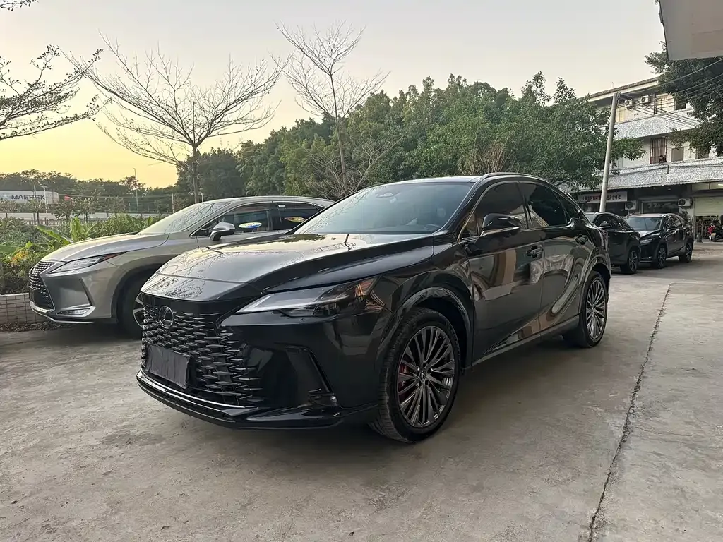 Lexus RX 2023 из CN, фото 1