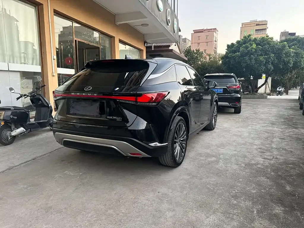 Lexus RX 2023 из CN, фото 10