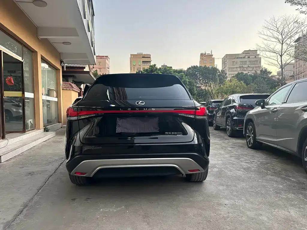 Lexus RX 2023 из CN, фото 9