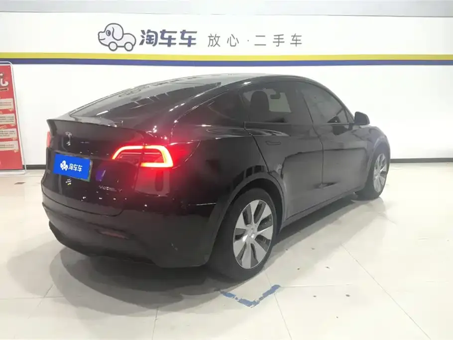 Tesla Model Y 2021 из CN, фото 3
