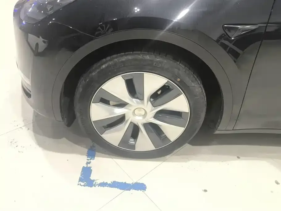 Tesla Model Y 2021 из CN, фото 6