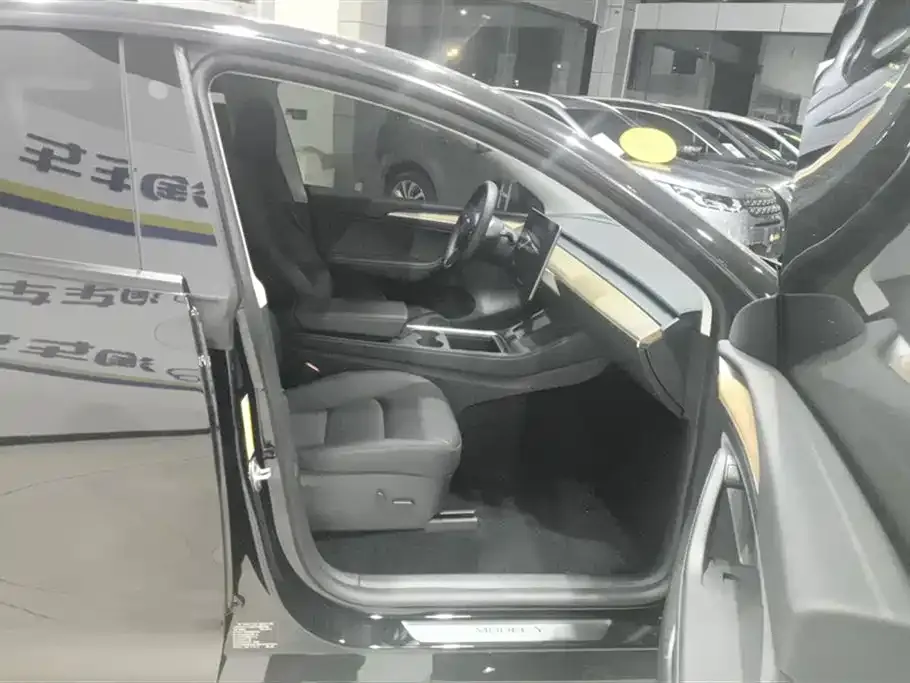 Tesla Model Y 2021 из CN, фото 8