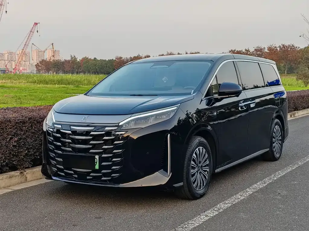 BYD Xia 2025 из CN, фото 1