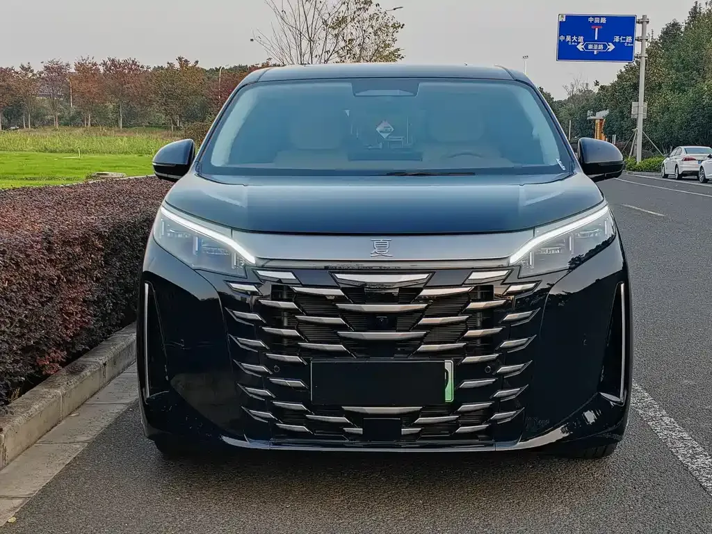 BYD Xia 2025 из CN, фото 2