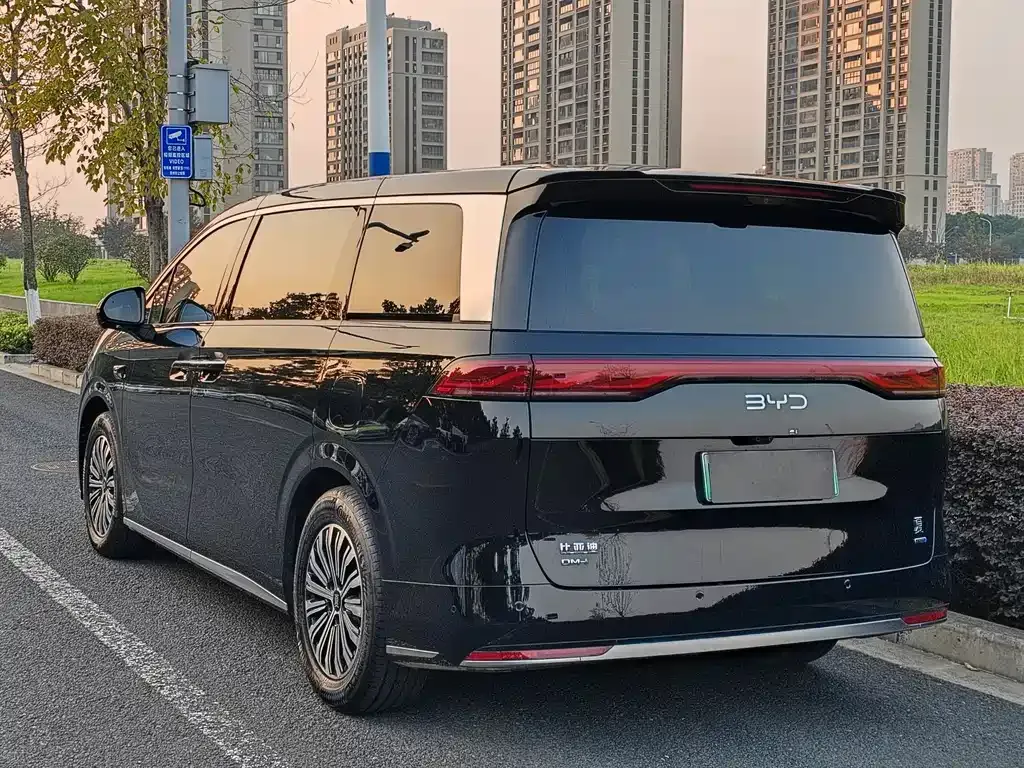 BYD Xia 2025 из CN, фото 3