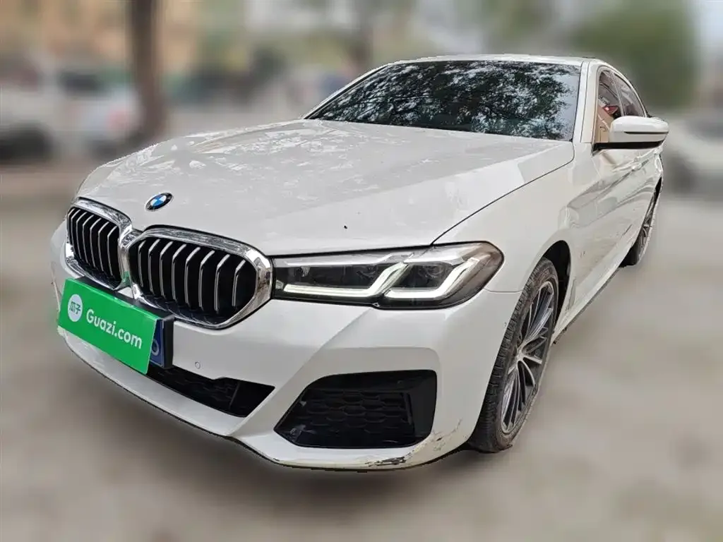 BMW 5 Series 2022 из CN, фото 1
