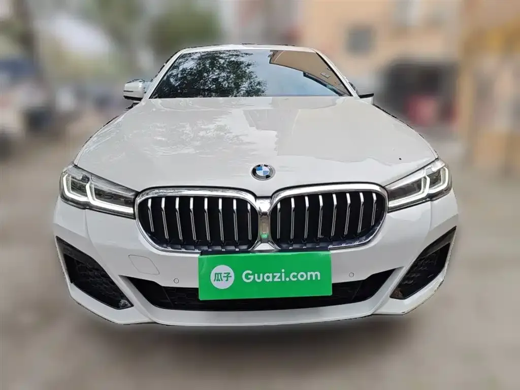 BMW 5 Series 2022 из CN, фото 3