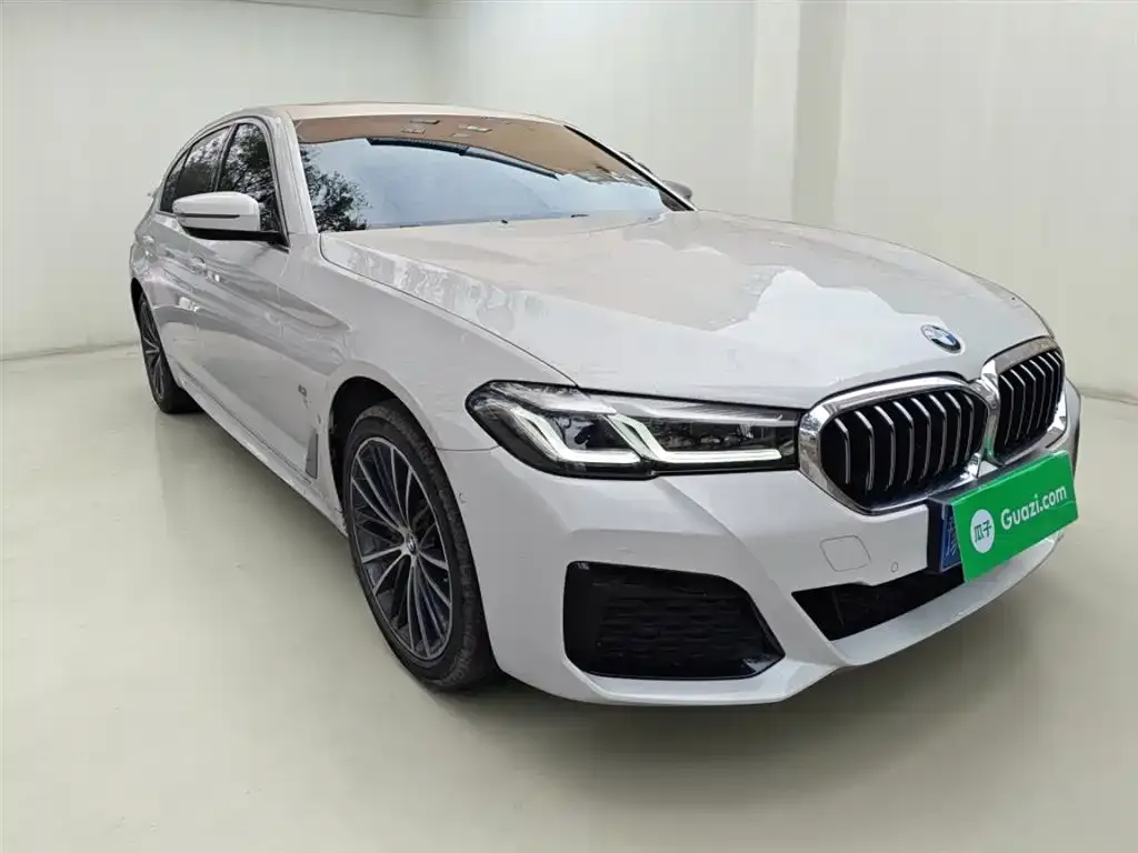 BMW 5 Series 2022 из CN, фото 4