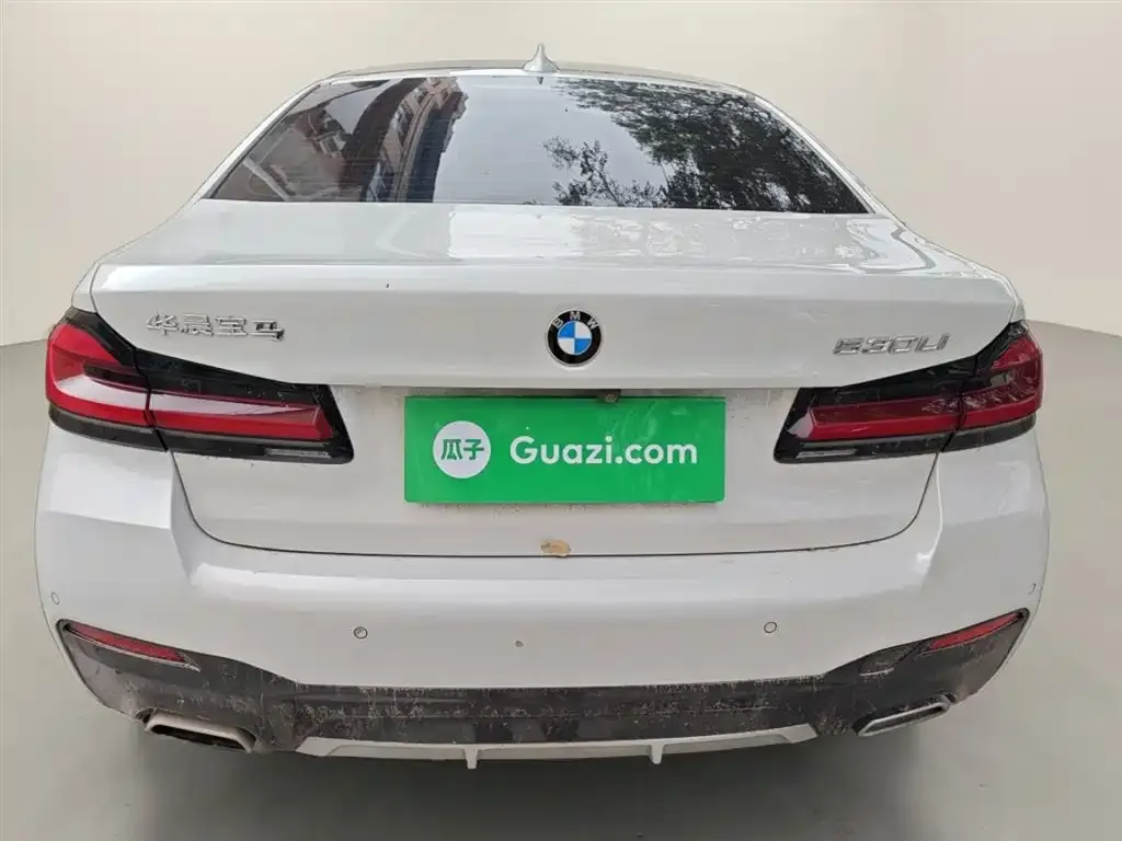 BMW 5 Series 2022 из CN, фото 6