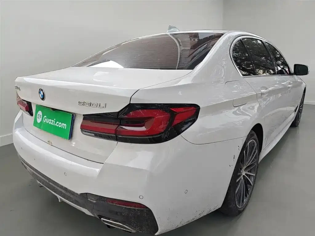 BMW 5 Series 2022 из CN, фото 7