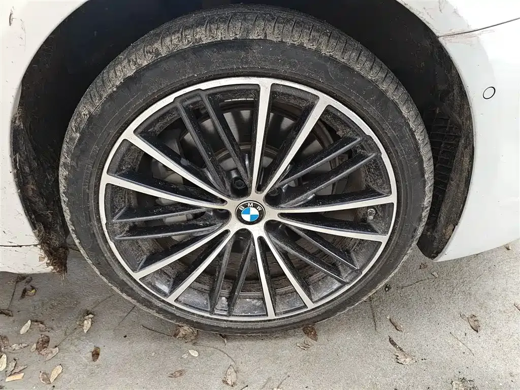 BMW 5 Series 2022 из CN, фото 9