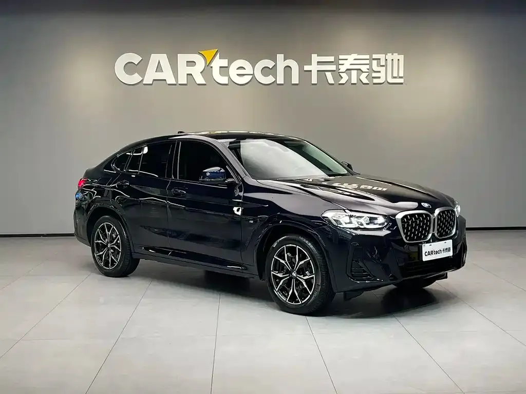BMW X4 2024 из CN, фото 3