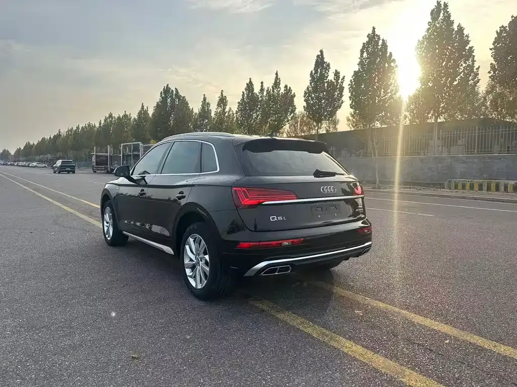 Audi Q5L 2021 из CN, фото 4