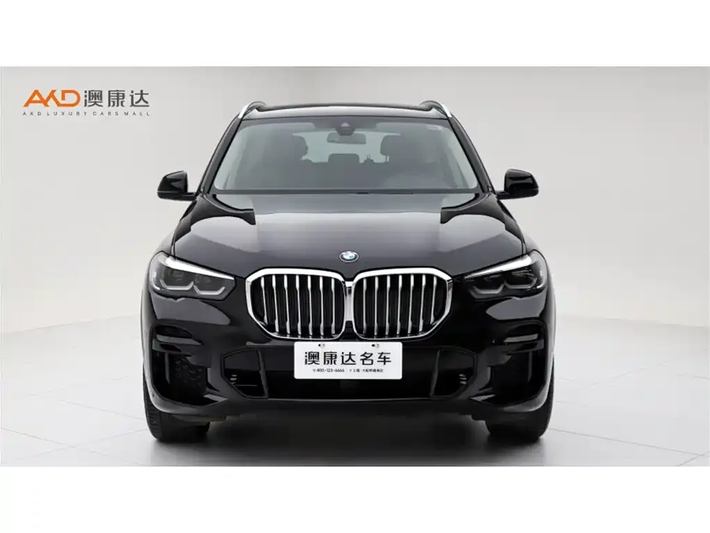 BMW X5 (Import) 2022 из CN, фото 2