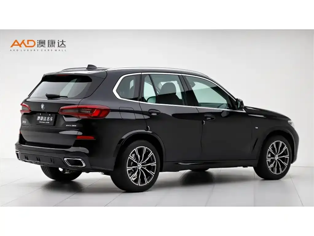 BMW X5 (Import) 2022 из CN, фото 3