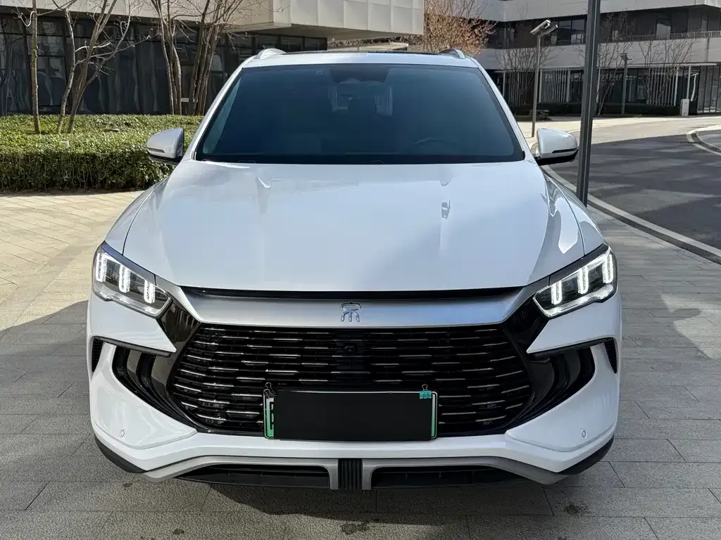 BYD Pro New Energy 2023 из CN, фото 2