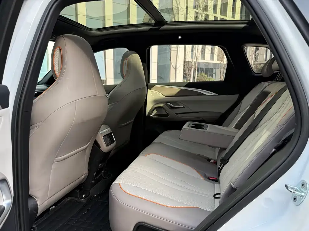 BYD Pro New Energy 2023 из CN, фото 7