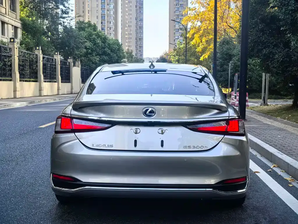 Lexus ES 2021 из CN, фото 6