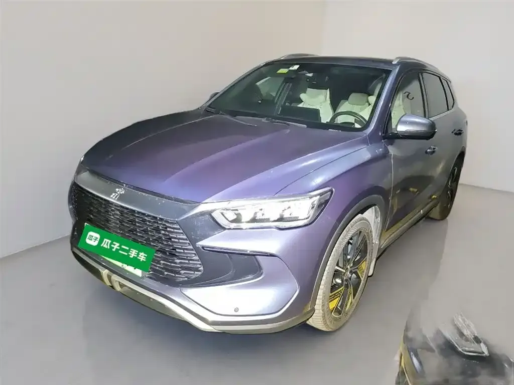 BYD Pro New Energy 2023 из CN, фото 2