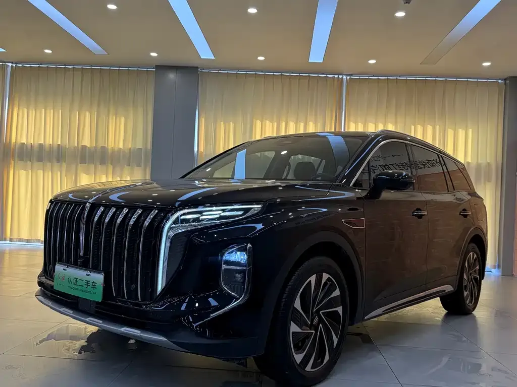 Hongqi HS7 PHEV 2024 из CN, фото 2