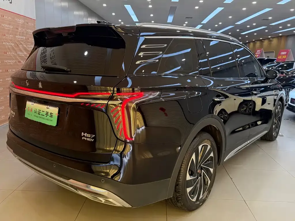 Hongqi HS7 PHEV 2024 из CN, фото 7