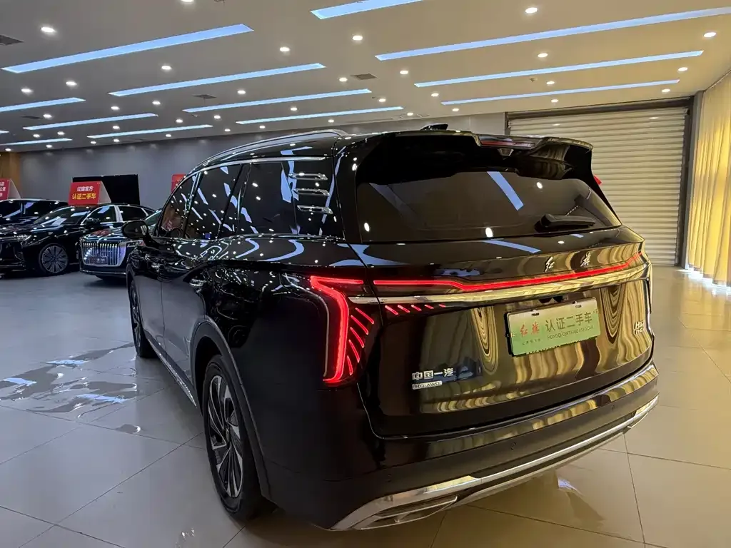 Hongqi HS7 PHEV 2024 из CN, фото 8