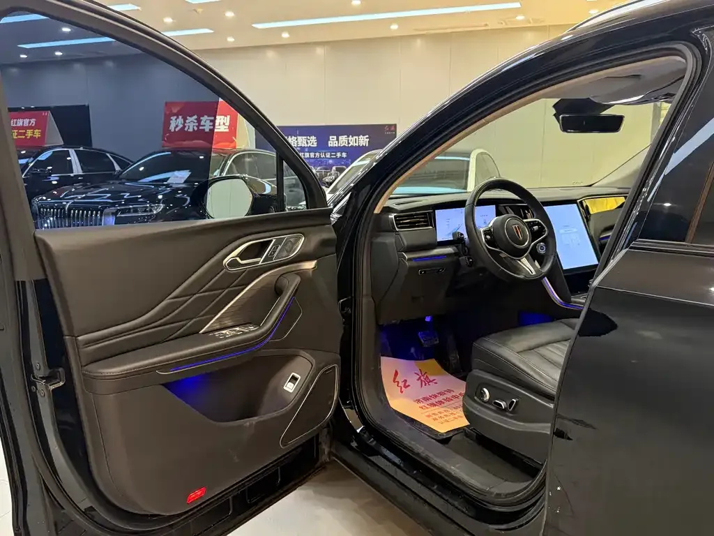 Hongqi HS7 PHEV 2024 из CN, фото 9