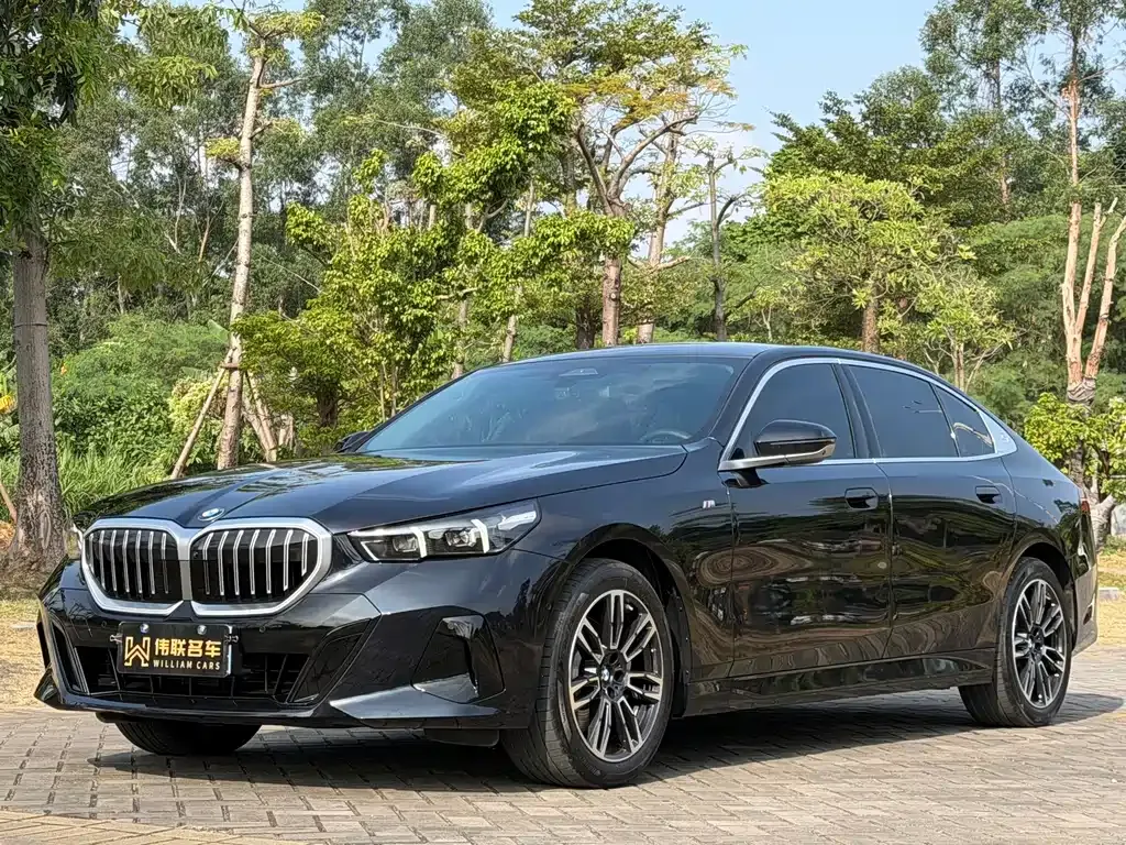 BMW 5 Series 2025 из CN, фото 1