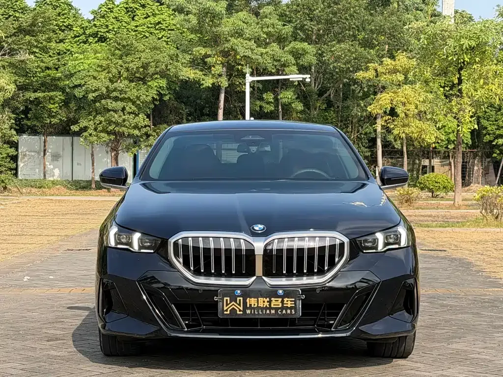 BMW 5 Series 2025 из CN, фото 2