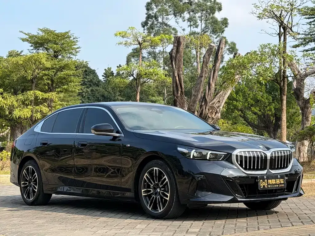 BMW 5 Series 2025 из CN, фото 3