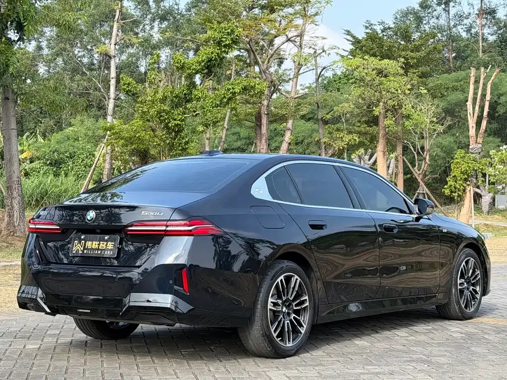 BMW 5 Series 2025 из CN, фото 8